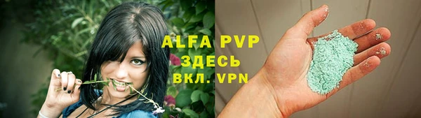 спайс Богданович