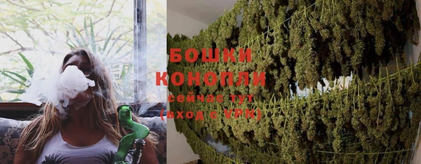 таблы Богородицк