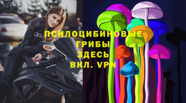 спайс Богданович