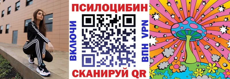 даркнет сайт  Волчанск  Галлюциногенные грибы Magic Shrooms 